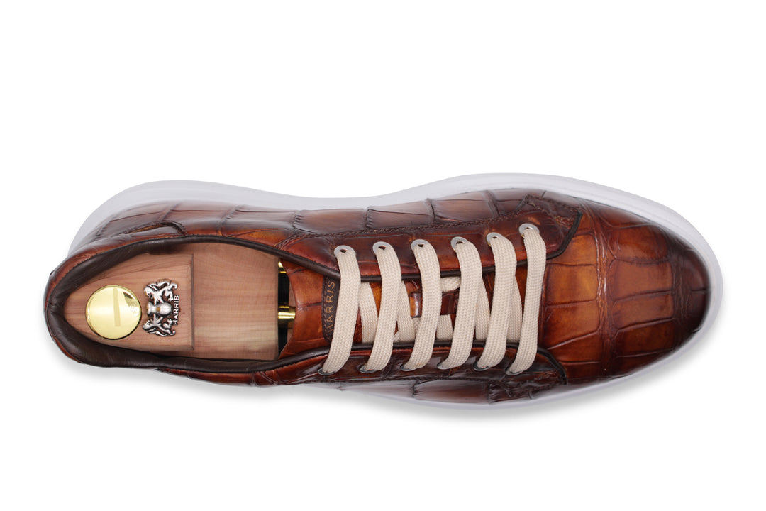 Crocodrillo sneakers