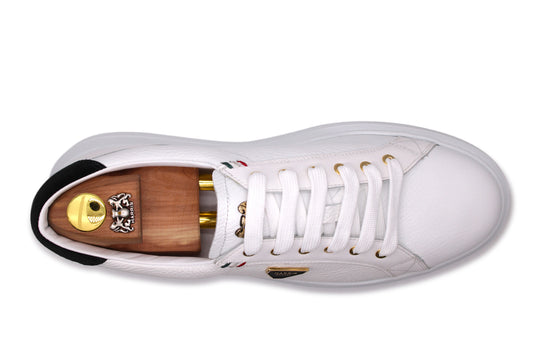 Soft leather sneakers alce effect