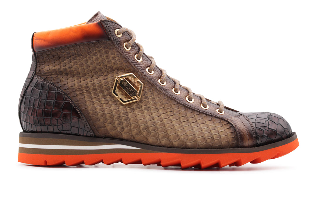 Polacchino in python and crocodile effect